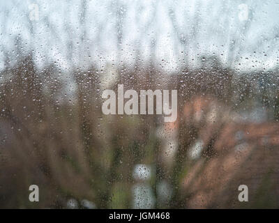 Regentropfen am Fenster vor einem unscharfen Hintergrund mit Ästen und gefliesten Dächer Stockfoto