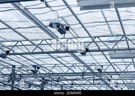 modernen transparenten Dach im Gewächshaus. strukturelle gläserne Decke. Stockfoto