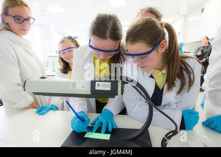 Mädchen studieren Stammzellen Themen Stockfoto