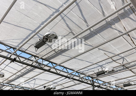 modernen Glasdach im Gewächshaus. Lampen für die Beleuchtung Pflanzen. Stockfoto