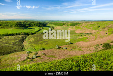 Geologische Depression in den North York Moors mit Blick auf Ackerland, Moor und Vegetation an einem feinen Frühlingsmorgen in der Nähe von Goathland, Yorkshire, Großbritannien. Stockfoto