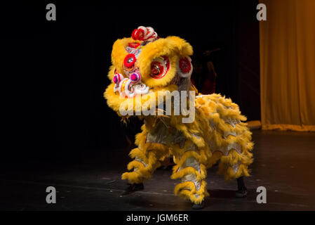 Dragon Dance-Performance an der UC Davis Stockfoto