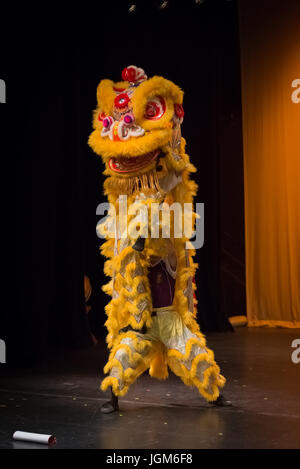 Dragon Dance-Performance an der UC Davis Stockfoto