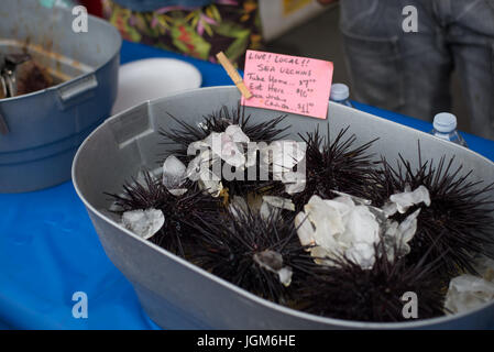 Seeigel zum Verkauf in San Diego Framer's Market Stockfoto