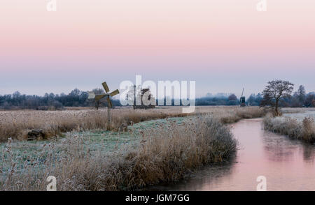 Reed-Feld in der Nähe von Kalenberg mit Mühle bei Sonnenaufgang und Winter in der Provinz Overijssel in den Niederlanden. Stockfoto