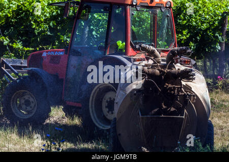 Chemikalie, die Spritzen der Reben im Weinberg, Valtice Region Südmähren, Tschechische Republik, Europa Stockfoto