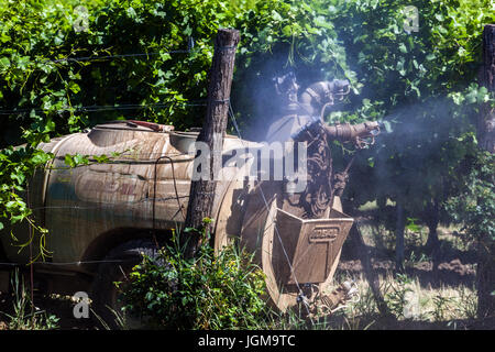 Chemikalie, die Spritzen der Reben im Weinberg, Valtice Region Südmähren, Tschechische Republik, Europa Stockfoto