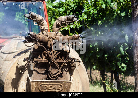 Chemikalie, die Spritzen der Reben im Weinberg, Valtice Region Südmähren, Tschechische Republik, Europa Stockfoto