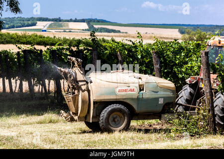 Chemikalie, die Spritzen der Reben im Weinberg, Valtice Region Südmähren, Tschechische Republik, Europa Stockfoto