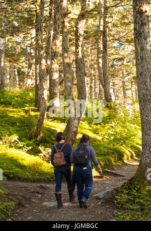 2 Schwestern halten Hände, die durch einen Wald gehen. Stockfoto