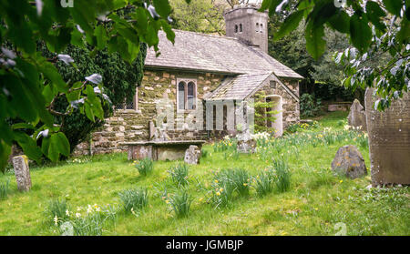 Johanniskraut in der Vale-Kirche in der Nähe von See Derwent im Lake District in Cumbria, UK Stockfoto