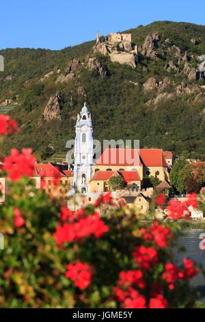 Kirche in der D? Rnstein/Donau? Sterreich, Niederösterreich, Wachau - Kirche in Dürnstein auf Donau Fluß, Österreich, Niederösterreich, Region Wachau, hatten Stockfoto