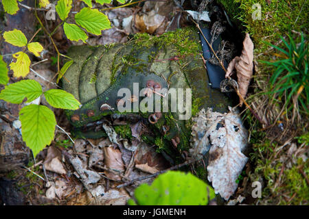 Reisen Schuh verrottet in der Holz - Fäulnis Wandern Boot Wanderschuh Verrottet Im Wald - Fäulnis Wanderschuh Stockfoto