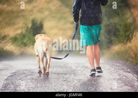 Junger Mann mit seinem Hund (Labrador Retriever) bei starkem Regen auf der Landstraße ausgeführt. Stockfoto