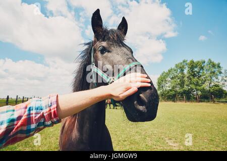 Sommertag auf dem Bauernhof. Junger Mann streicheln Pferd. Stockfoto