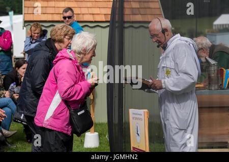 BBKA Mann live Imkerei Demo spricht & zeigt Brut Frame der Bienen zu People - RHS Chatsworth Flower Show Showground, Derbyshire, England, Großbritannien. Stockfoto