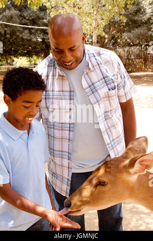 Vater und Sohn eine Ziege auf einen Streichelzoo füttern. Stockfoto