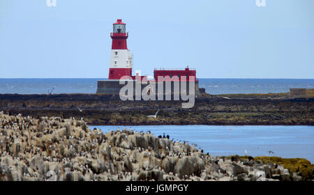 Longstone Leuchtturm (bekannt geworden durch Grace Darling), Farne Islands, Northumbria, England, UK. Stockfoto