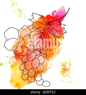 Vektor und Aquarell Grape vine mit Rose auf weiß Stock Vektor