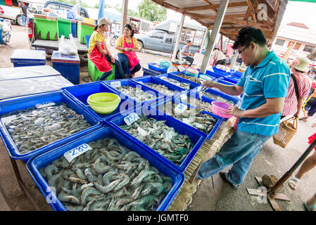 Fischmarkt in Thailand Stockfoto
