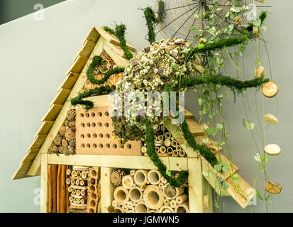 Blumenarrangement vom Hadlow College genannt Bugs und Perlen, alle leben in einem Insektenhaus, RHS Hampton Court Flower Show, London, England Stockfoto