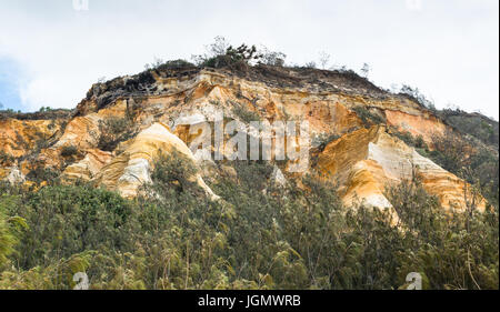 Farbigen sand Kathedrale Klippen auf Fraser Island in Australien. Stockfoto