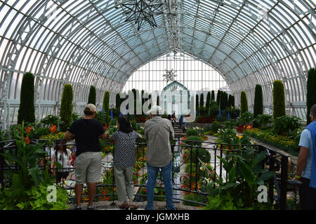 Sommer Blumenschau im Sunken Garden an Como Zoo und Konservatorium in St. Paul, MN Stockfoto