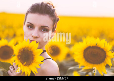 Schöne natürliche junge Frau im Sonnenblumenfeld im Sommer Sonnenuntergang Stockfoto