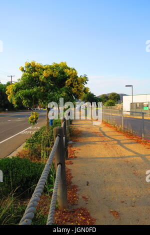 Gefallene Blätter verleihen Akzent zu einem Seil gesäumten Straße Weg, Twin Oaks Valley Road, San Marcos, Kalifornien Stockfoto