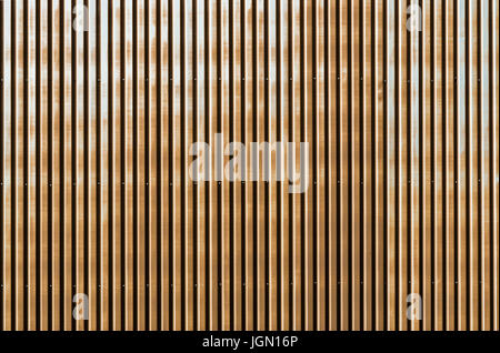 Alte rostige Wellblech Wand einer Scheune Gebäude Stockfoto