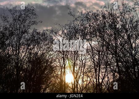 Kulisse der schneebedeckten Landschaften Stockfoto