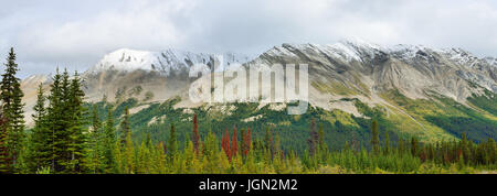 Panoramablick auf die alpine Landschaft entlang des Icefields Parkway zwischen Jasper und Banff in den kanadischen Rocky Mountains Stockfoto