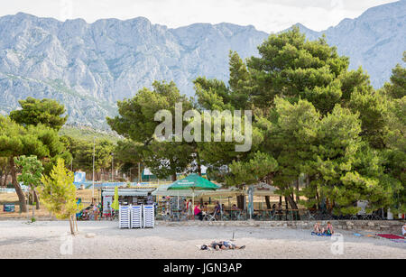 MAKARSKA, CROTIA - 16. Juni 2017: Beaituful kroatische Tanne an der Makarska Riviera. Natürliche Schönheit der Dolmatian Küste Stockfoto