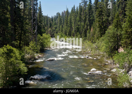 North Fork des Stanislaus River Durchreise Calaveras große Bäume State Park, Kalifornien, USA, auf klaren Himmel am Tag, gesehen von einer Brücke Stockfoto