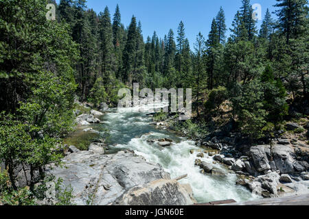 North Fork des Stanislaus River Durchreise Calaveras große Bäume State Park, Kalifornien, USA, auf klaren Himmel am Tag, gesehen von einer Brücke Stockfoto