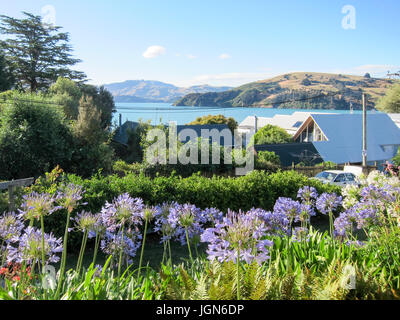 Blick auf Garten über Akaroa Harbour, Südinsel, Neuseeland Stockfoto