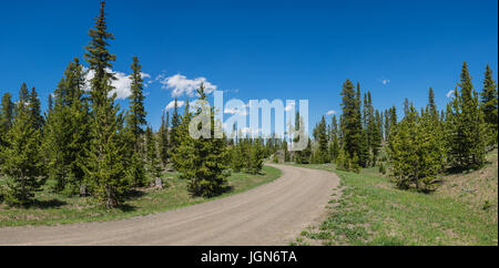 Nicht genutzte unbefestigte Straße führt in die Wildnis der Rocky Mountains im Westen. Stockfoto