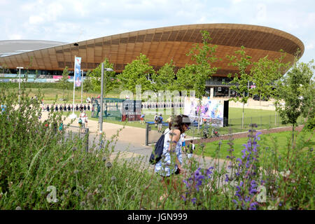 Wildblumen blühen im Juni Wiesengarten in der Nähe des Queen Elizabeth Park Olympic Velodrome in Stratford Newham East London England Großbritannien KATHY DEWITT Stockfoto