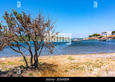 Das Urlaubsparadies der Türkei Sifne, Cesme Stockfoto