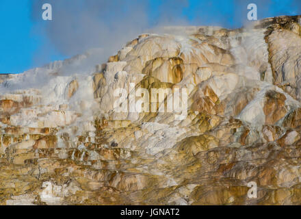 Travertin-Formationen, Mammoth Hot Springs, Yellowstone-Nationalpark, Wyoming, durch Bruce Montagne Stockfoto