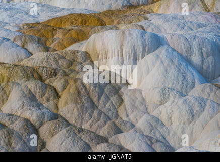 Travertin-Formationen, Mammoth Hot Springs, Yellowstone-Nationalpark, Wyoming, durch Bruce Montagne Stockfoto