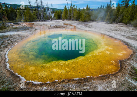 Morning Glory Pool, Yellowstone-Nationalpark, Wyoming USA von Bruce Montagne Stockfoto