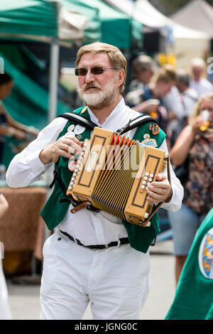 Kaukasier Männlich, 40s, Volksmusiker, Morris Tänzerin aus der Maldon Greenjackets morris Seite spielen Akkordeon während der jährlichen Sandwich Folk und Ale-Festival. Stockfoto