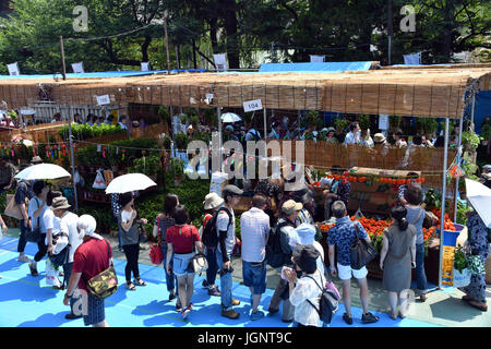 Tokio, Japan. 9. Juli 2017. Annual Fair Ground Cherry startet um Sensouji-Tempel in der Innenstadt Einkaufsviertels von Asakusa, einer der besten Touristen-Spots in Japan, am Sonntag, 9. Juli 2017. Ob Sie es glauben oder nicht, wenn Sie den Tempel während der Messe zu besuchen, wird es Sie 46.000 Tage Glück bringen. Bildnachweis: Natsuki Sakai/AFLO/Alamy Live-Nachrichten Stockfoto