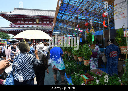 Tokio, Japan. 9. Juli 2017. Annual Fair Ground Cherry startet um Sensouji-Tempel in der Innenstadt Einkaufsviertels von Asakusa, einer der besten Touristen-Spots in Japan, am Sonntag, 9. Juli 2017. Ob Sie es glauben oder nicht, wenn Sie den Tempel während der Messe zu besuchen, wird es Sie 46.000 Tage Glück bringen. Bildnachweis: Natsuki Sakai/AFLO/Alamy Live-Nachrichten Stockfoto