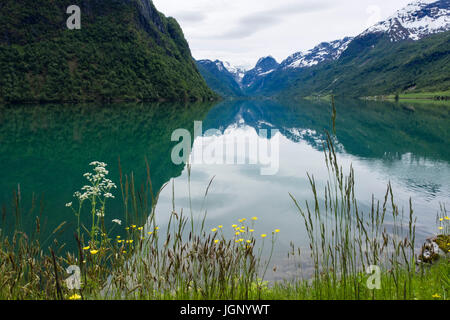 Ruhigen Gewässern des Oldevatnet See sich die Berge spiegeln. Olden, Oldedalen Tal, Sogn Og Fjordane Grafschaft, Norwegen, Scandinavia Stockfoto