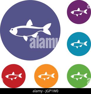 Rotfeder Fisch Icons set Stock Vektor