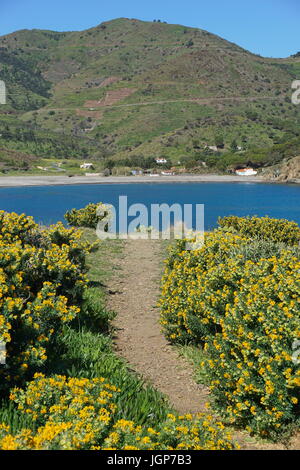 Fußweg an der Mittelmeerküste mit dem Meer und Strand im Hintergrund, Peyrefite, südlich von Frankreich, Pyrenäen Orientales, Roussillon Stockfoto