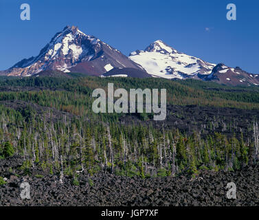 USA, Oregon, drei Schwestern Wildnis, Norden (links) und mittleren Schwester (rechts) Anhöhe jenseits Koniferen und Lavastrom in der Nähe von McKenzie Pass. Stockfoto