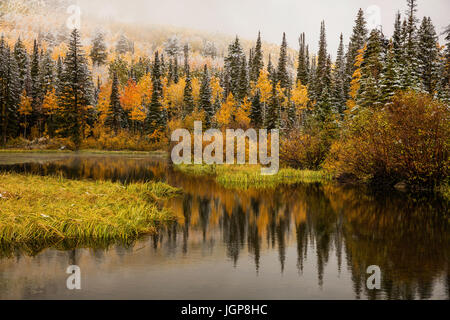 Silver Lake mit Falllaub, Brighton, Big Cottonwood Canyon, Wasatch Berge, Utah Stockfoto